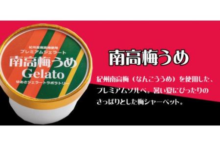 プレミアムジェラート 南高梅うめソルベ12個セット アイスクリームセット 100mlカップ ゆあさジェラートラボラトリー【kztb700-06】