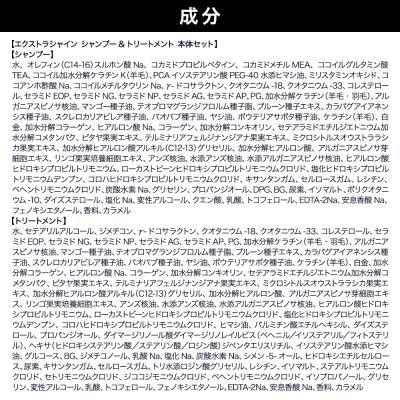 ふるさと納税 滑川町 ダイアン エクストラシャイン シャンプー&トリートメント 本体セット|19_ntl-110201 |  | 01