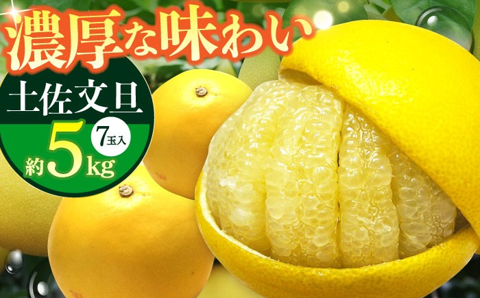 【先行予約】南国高知温室土佐文旦 約5kg 7玉〈2025年11月中旬～2026年2月中旬頃発送〉/ 文旦 ぶんたん 果物 フルーツ 高知名物 【フルーツショップオザキ】[ATAH016]