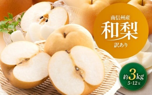 南信州産 訳あり 和梨 約3kg 【2026年先行予約】 | 果物 フルーツ 果実 和梨 梨 幸水 豊水 南水 あきづき 訳あり わけあり 長野県 飯田市 信州