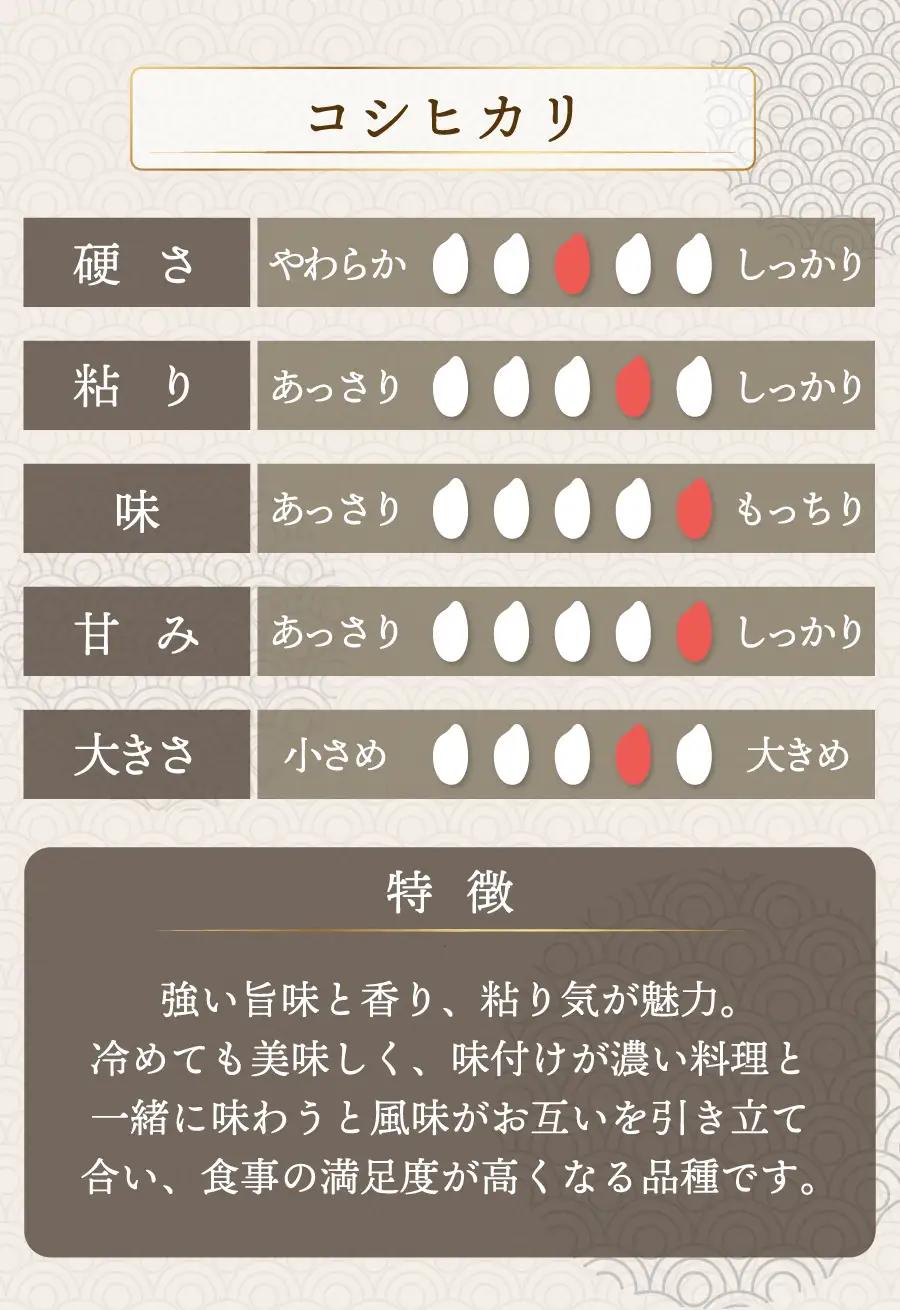 【定期便12回】コシヒカリ 20kg（10kg×2）令和7年産 [095-t12-a203]