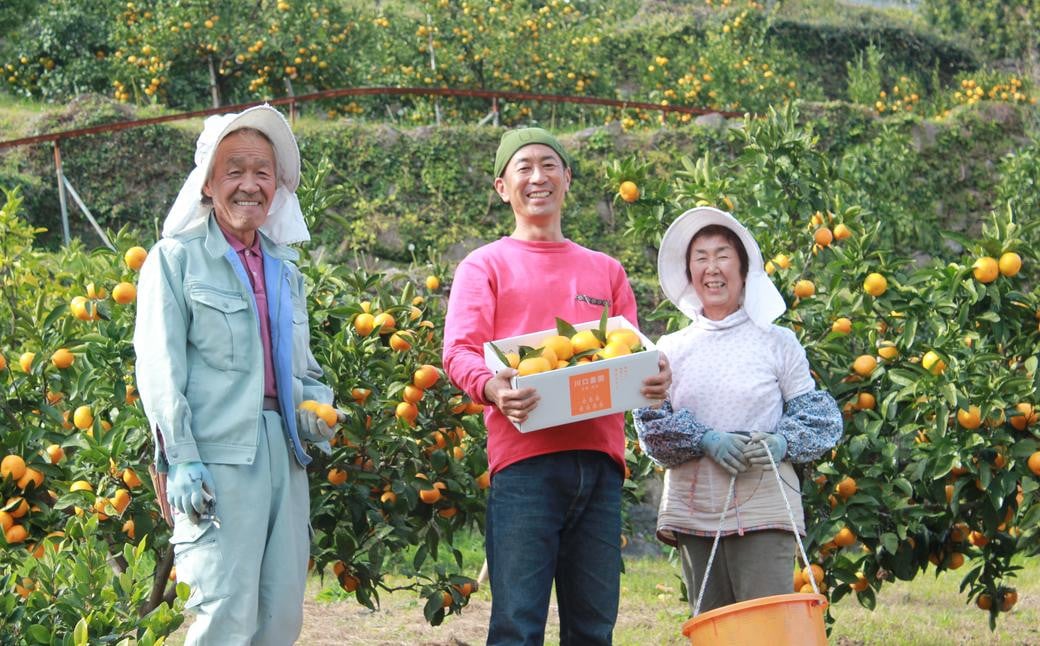 長崎県産 温州みかん 5kg (個数・サイズ おまかせ) フルーツ 果物 くだもの 果実 ミカン 蜜柑