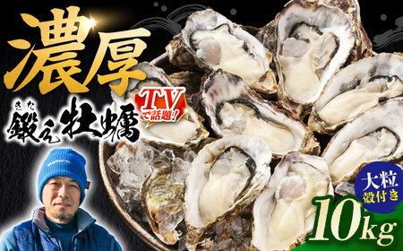 冷凍 殻付き牡蠣 10kg 牡蠣[XAE067]