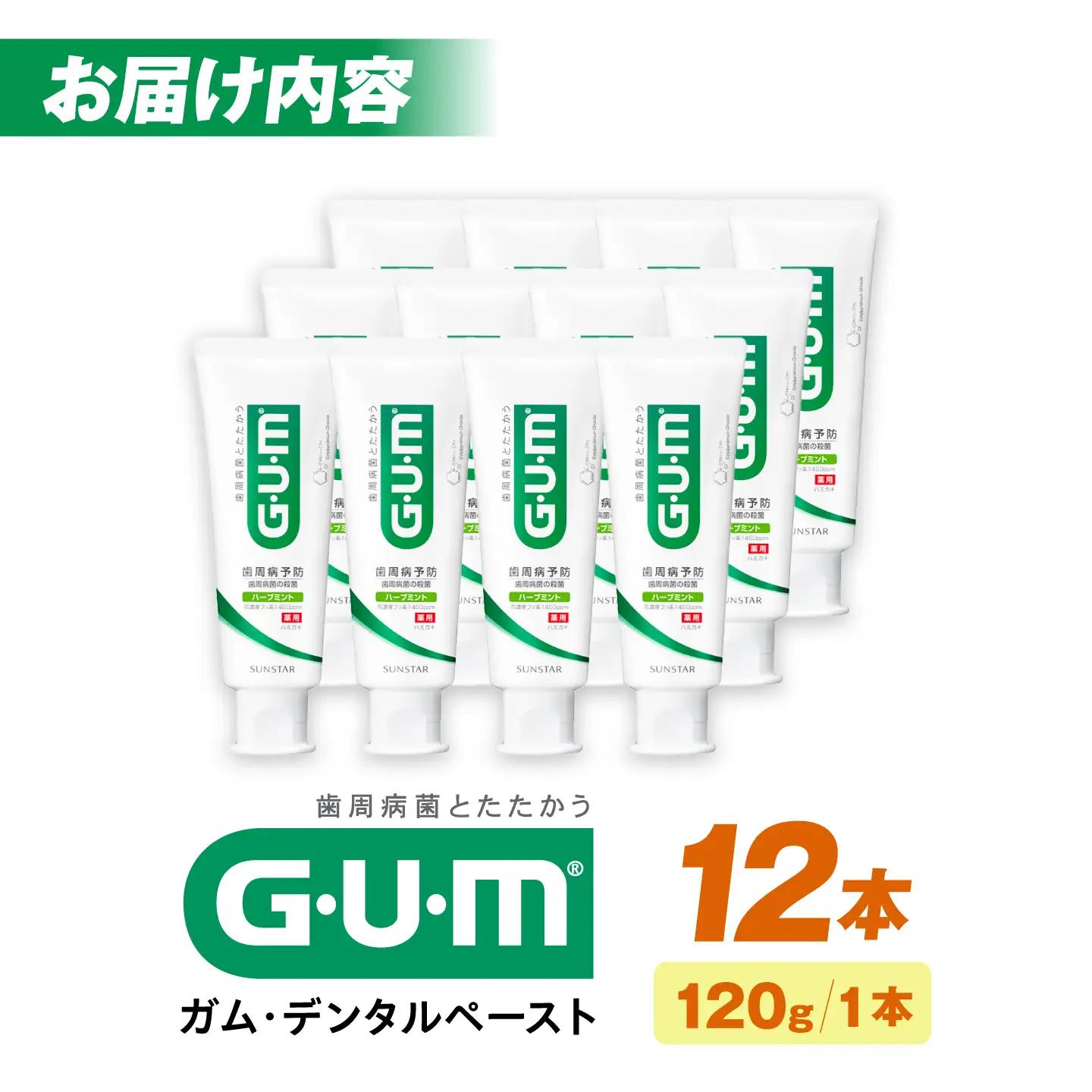 GUM デンタルペースト(ST) 120g×12本 大阪府高槻市/サンスター[AOAD079]