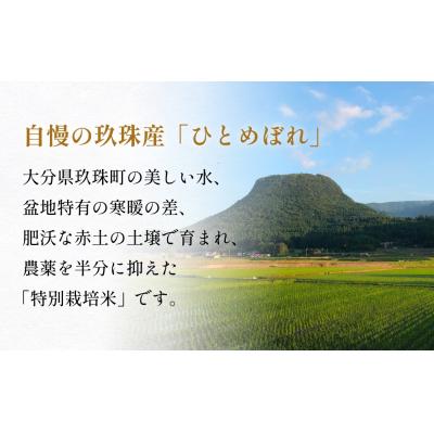 ふるさと納税 玖珠町 【お中元対象】大分県産 玖珠米 ひとめぼれ 真空パック3個 300g + レトルト玖珠米ごはん |  | 02