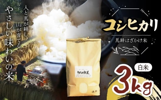 新米 令和7年産 林業会社のお届けする山の恵み 馬耕はざかけ米〈自然栽培コシヒカリ〉【白米】3kg ｜ お米 白米 玄米 ご飯 馬耕 こしひかり3kg 信州 長野県 松本市 松本市 ふるさと納税