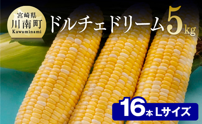 
            【令和8年発送】宮崎県産とうもろこし　朝どれ！守部さんちのドルチェドリーム (L)5kg 【 先行予約 数量限定 期間限定 とうもろこし スイートコーン トウモロコシ スィートコーン 令和8年発送 】
          