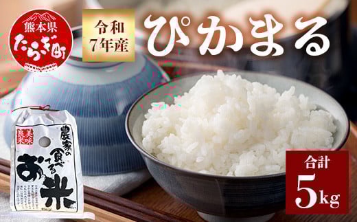 
            令和7年産 新米 先行予約 多良木町産 ぴかまる 5kg （ 令和7年10月下旬より順次発送 ）新米 農家が食べる お米 5キロ 甘み 米 美味しい米 米 白米 精米 熊本  065-0640
          