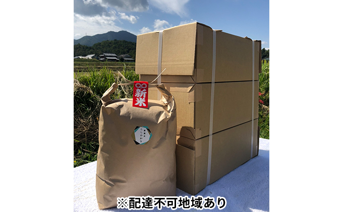 令和6年 ふじもとファームの新米【コシヒカリ 15kg】 （玄米5kg×3箱）
