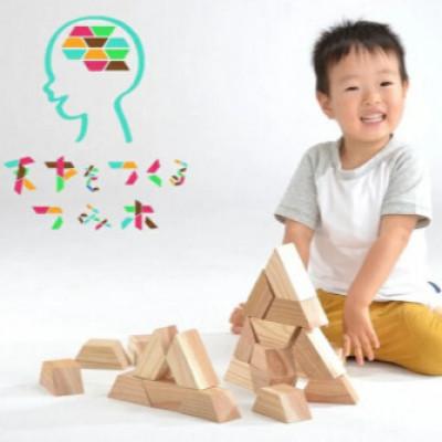 ふるさと納税 日向市 天才をつくる積み木　—てんつみ—　12個化粧木箱入