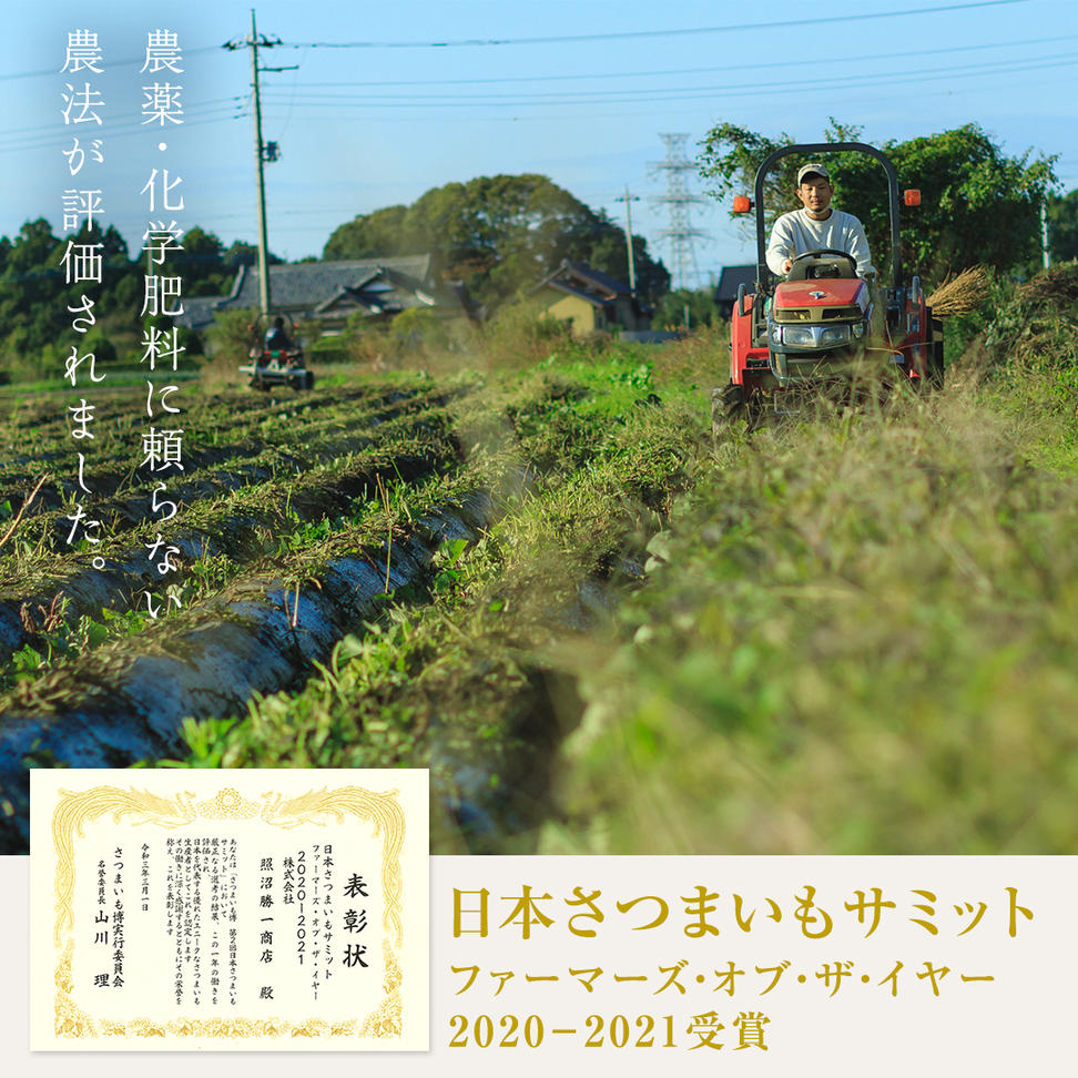 ＼ スピード発送対応 ／【 照沼クオリティ 】 干しいも 紅はるか 平干し200g×10袋 つくばみらい さつまいも 平干し 干し芋 いも 照沼 食物繊維 化学肥料不使用 有機 [DY23-NT]