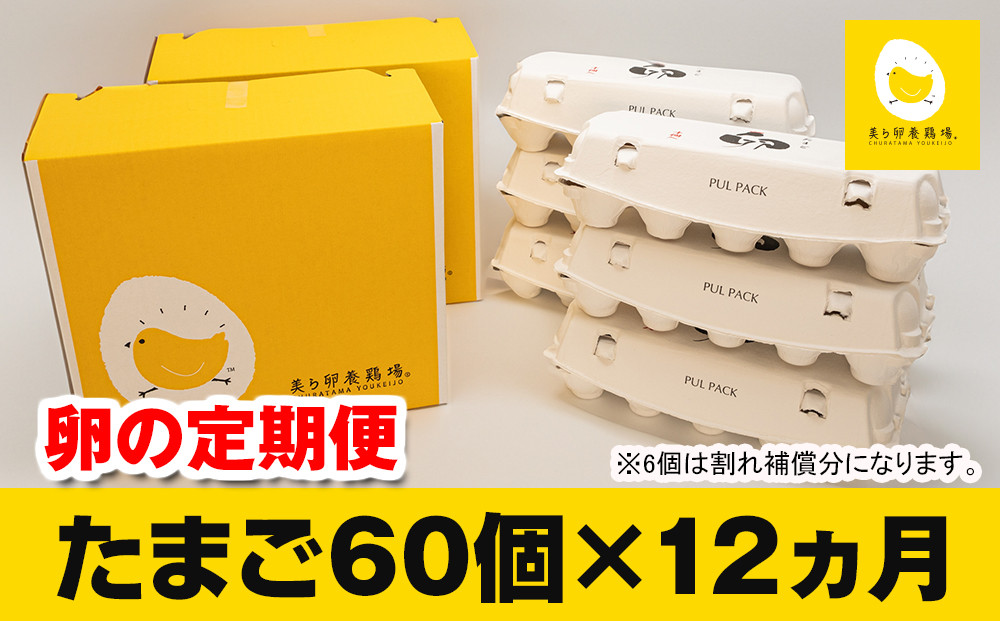 
【定期便】12ヵ月連続お届け　美ら卵養鶏場の卵　各月60個
