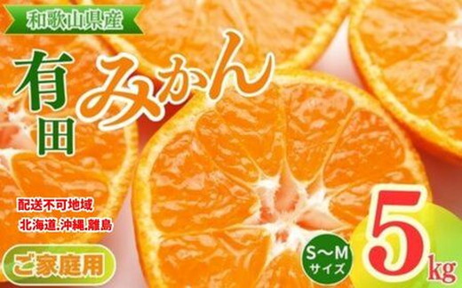 【ご家庭用】和歌山有田みかん約5kg(S、Mサイズ)〇 ｜ みかん 有田みかん 温州みかん ミカン 温州ミカン 柑橘 果物 フルーツ 甘い 先行予約 s m 甘い 5kg ※北海道・沖縄・離島への配送不可 ※2025年11月上旬～2026年1月下旬頃に順次発送予定