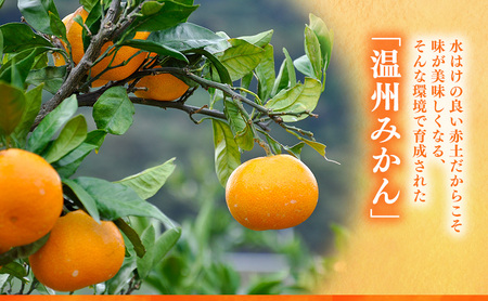 【 訳あり 】 後藤みかん農園 温州みかん 4kg 宮川 片山 果物 くだもの 旬のフルーツ 旬の果物 季節のフルーツ 季節の果物 柑橘 柑橘類 キズ 不揃い ご家庭用 静岡 浜松市
