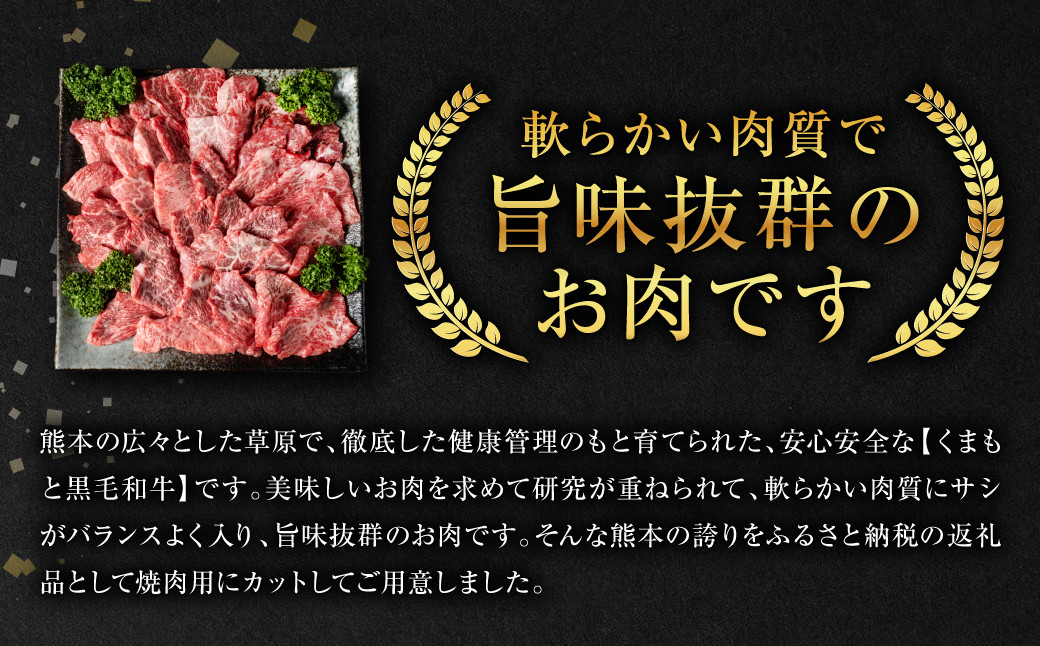 【定期便3回】軟らかい肉質で旨味抜群のお肉です