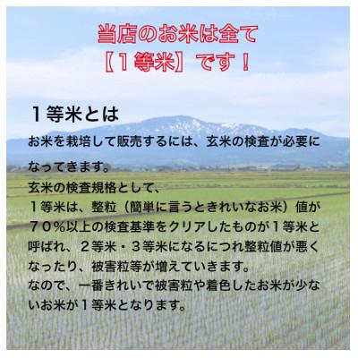 ふるさと納税 月形町 【発送月固定定期便】10月より順次発送　特Aランク　北海道月形町ななつぼし(精米)5kg 全6回 |  | 01