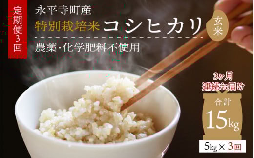 【3ヶ月定期便】【玄米】 令和7年度産 永平寺町産 農薬不使用・化学肥料不使用 特別栽培米 コシヒカリ 5kg×3ヶ月（計15kg）５キロ 5kg 米  米 お米 コメ 送料無料 こしひかり 福井[D
