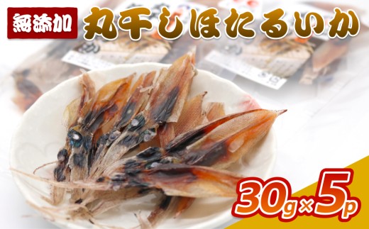 丸干しほたるいか150g｜鳥取 岩美 ホタルイカ いか 素干し おつまみ 肴 おやつ【24029】