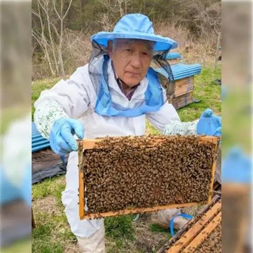 アカシア×1本 /とち蜜×2本 蜂蜜 各300g計3本セット パッカー付き 岩手県 遠野産 馬場光男【1742298】