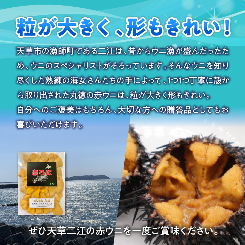 S157-008_天草二江の養殖赤うに 80g 80g