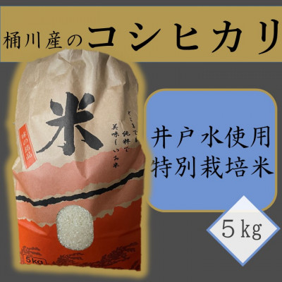 
桶川産のコシヒカリ(井戸水使用・特別栽培米)5kg 精米【1352042】
