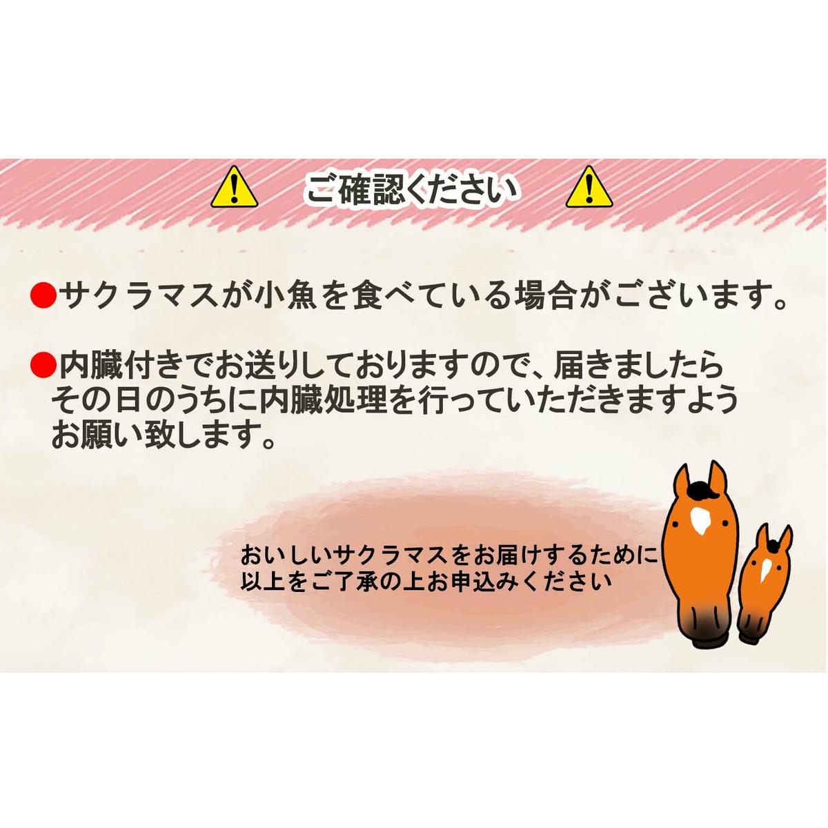 ＜2025年5月から順次発送＞ 北海道産 サクラマス 2～2.5kg まるごと 1尾 ＜ 予約商品 ＞_イメージ5