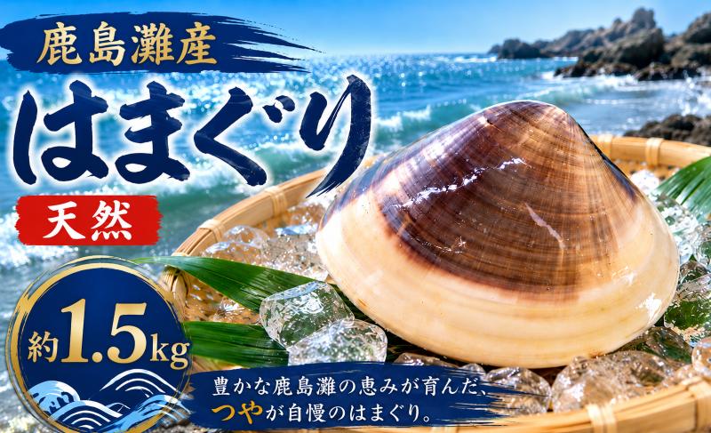 
                  はまぐり 蛤 鹿島灘産 約1.5kg 砂抜き 済み 天然 国産 貝 産地直送 冷蔵 お取り寄せ グルメ 海鮮 魚介類 海産物 肉厚 新鮮 魚 貝 だし ダシ 出汁 味噌汁 酒蒸し グラタン お吸い物 網焼き BBQ 鹿島灘 人気 おすすめ ふるさと納税 茨城県 鹿嶋市
                