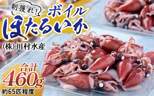 
                  【先行予約】ボイルほたるいか　 鶴瓶の家族に乾杯で放送5.13 【27年3月中旬〜順次発送開始】川村水産【川村水産 ケンミンショー 冷蔵 ホタルイカ 蛍烏賊 朝どれ 朝獲れ おつまみ 珍味 海鮮 身投げ 富山 滑川市 名産 観光 旬 期間限定 ギフト すべらない街】
                