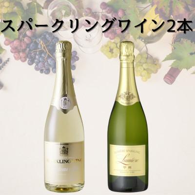 ふるさと納税 山梨県 スパークリングワイン2本セット(5)　049