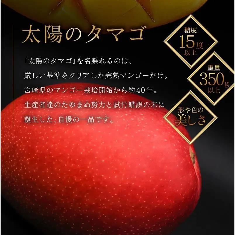 糖度15度以上『太陽のタマゴ』 約3kg 6～9玉 宮崎県産 完熟マンゴー ブランド 贈答 ギフト 南国 トロピカル フルーツ 果物 くだもの 化粧箱入り