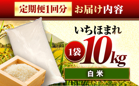 【6か月連続発送】福井県産 いちほまれ 精米 10kg 県産ブランド米 / コメ 白米 新米 米 小浜市 / 梅田東米穀店[BFEK036]