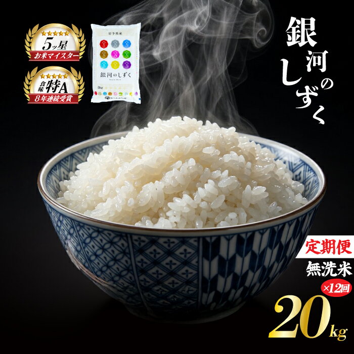 【ふるさと納税】 銀河のしずく 無洗米 20kg 5kg×4袋 米 定期便 12回 12ヶ月 連続 お届け 盛岡市産 いわて米 ブランド米 精米 白米 米 お米 こめ コメ ライス ご飯 ごはん 美味しい おすすめ贈り物 ぎんがのしずく 産地直送 盛岡 佐々木米穀店