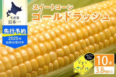 【2025年分先行予約】とうもろこし 高評価 ★ 北海道産 なまら十勝野の スイートコーン ゴールドラッシュ 10本 3.8kg以上キャンプ飯 BBQ ソロキャン人気 トウモロコシ 生 野菜 北海道 十勝 芽室町 送料無料 お取り寄せme001-003c-25