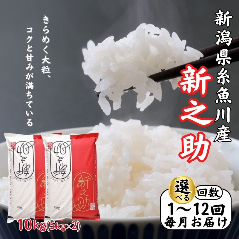 【ふるさと納税】新之助 10kg《令和7年産》【令和8年1月以降出荷予定】選べる定期便 新潟県産 (1回～12回)毎月お届け 糸魚川産 白米 2025年産 米 ライス 新潟の新ブランド米 しんのすけ 食品 おすすめ 人気 新潟米 おにぎり 選べる 回数 米5kg 米10kg 木島米穀店