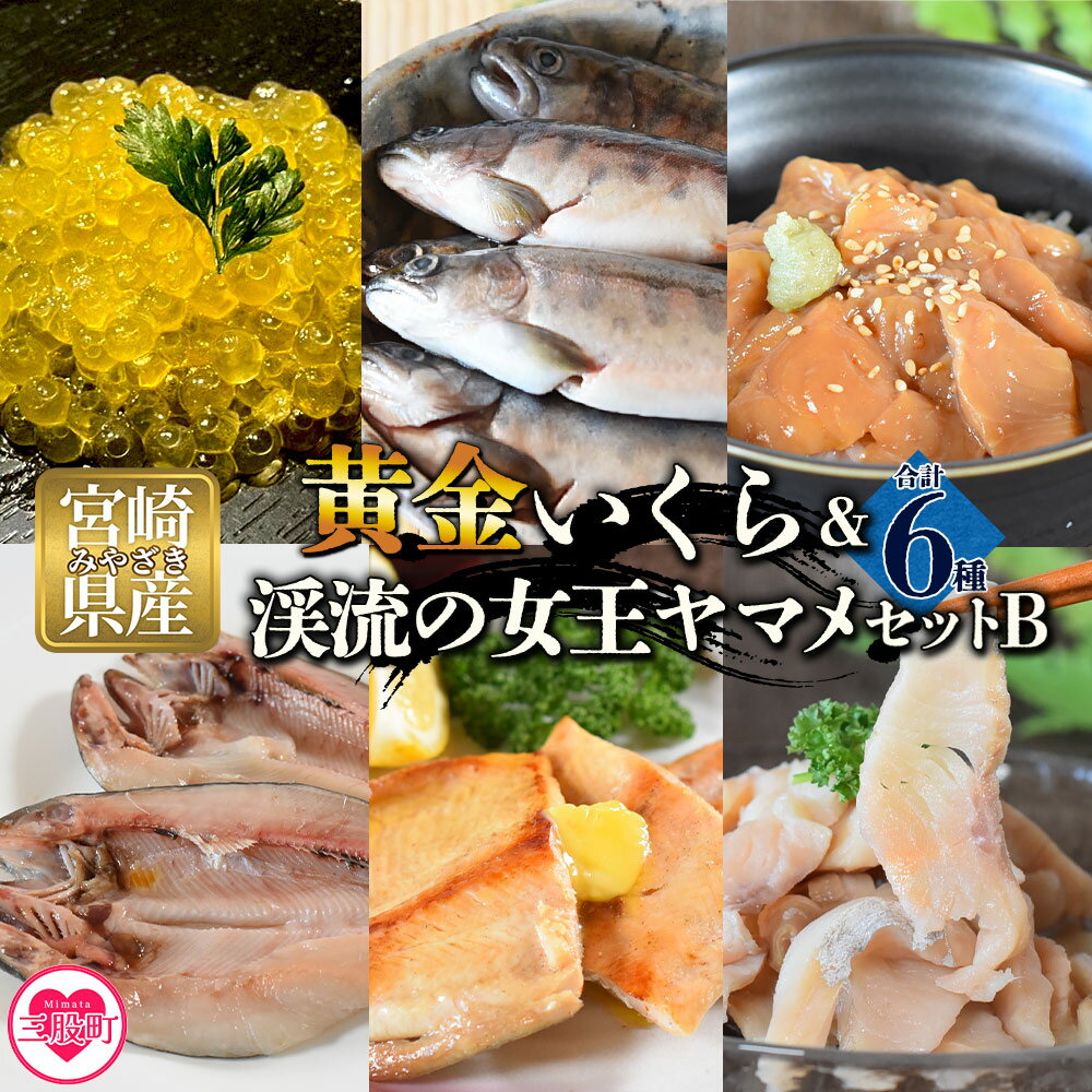 【ふるさと納税】＜黄金イクラと渓流の女王ヤマメ逸品セットB＞ (6種) 黄金イクラやヤマメなどを詰め合せ！国産 九州産 宮崎 いくら 魚卵 やまめ 一夜干し やまめ漬け フィレ スモーク マリネ おかず 水産物 詰め合わせ【B-0206-sk】【有限会社しゃくなげの森】