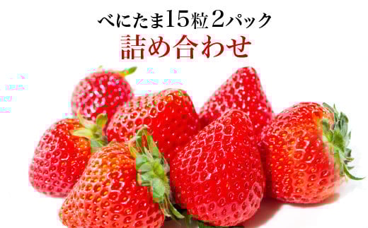 
            Angelina berrys farm 「べにたま」15粒入り2パック詰合せ　【11218-0879】
          