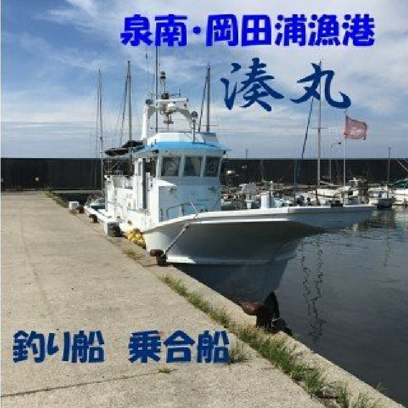 【ふるさと納税】【泉南・岡田浦漁港】釣り船 湊丸 午前便・午後便 1名様