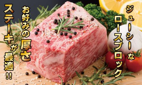 佐賀牛プロ用ブロック肉（ロース350g、モモ肉350g）