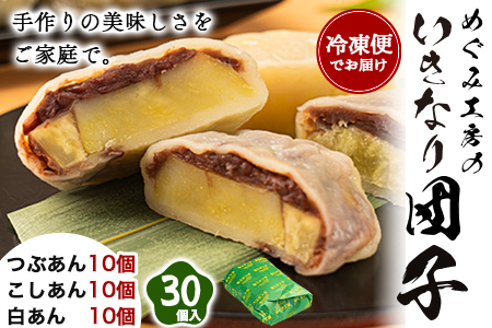 めぐみ工房 いきなり団子 30個 つぶあん こしあん 白あん 各10個《60日以内に出荷予定(土日祝除く)》熊本県 葦北郡 津奈木町 お菓子 スイーツ お茶菓子 お茶請け 冷めてもおいしい さつまいも 芋 餡子 アンコ あんこ ダンゴ ギフト 贈答 お土産 お菓子 