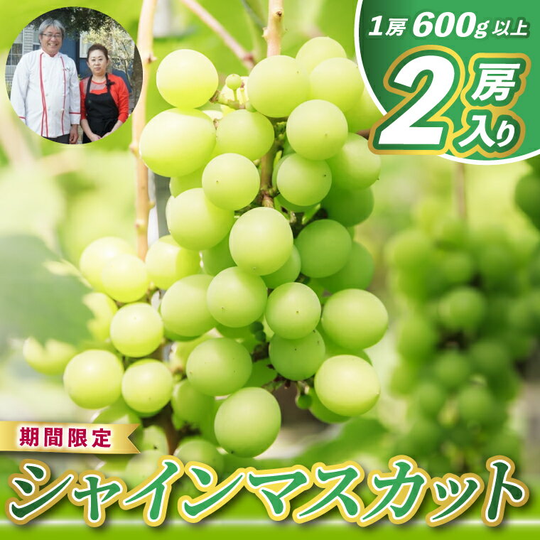 【ふるさと納税】 シャインマスカット 2房 (大粒600g以上/房) 【先行予約】 ぶどう 葡萄 フルーツ くだもの 果物 果実 マスカット 旬 大粒 産地直送 期間限定 皮ごと食べられる 美味しい 人気 お取り寄せ ギフト プレゼント 贈答 贈り物 ふるさと納税 茨城県 鹿嶋市