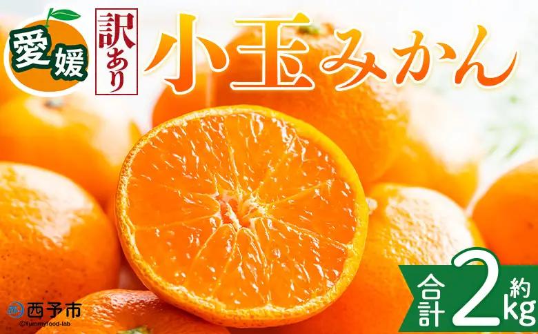 ＜【訳あり】愛媛県産 小玉みかん 約2kg＞『2026年11月上旬～1月下旬迄順次発送予定』 わけあり 訳アリ 濃厚 甘い 小さい こだま みかん 蜜柑 訳あり 果物 くだもの フルーツ ミカン 果汁 国産 特産品 株式会社三代目みかん職人 愛媛 西予市【常温】OSM0008
