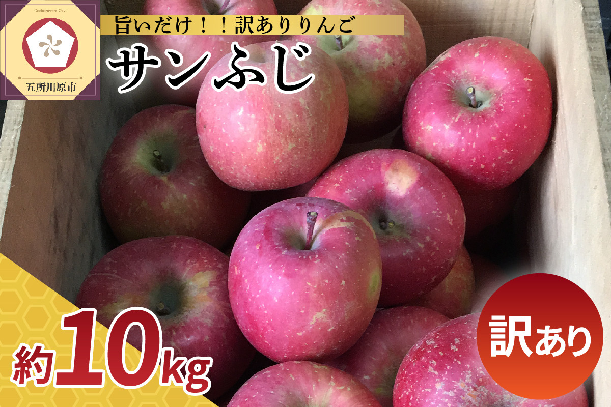 
【ふるさとチョイス限定】【選べる配送時期】 12月 1月 【訳あり】 りんご サンふじ 10kg 青森
