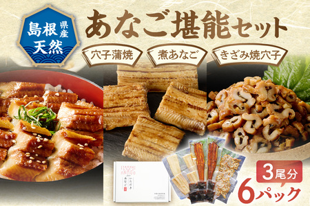 浜田のあなご堪能セット 時短 穴子 魚介類 魚貝類 海の幸 蒲焼 簡単調理 レンジでチン 湯煎 小分け セット 詰め合わせ 【156_2011】