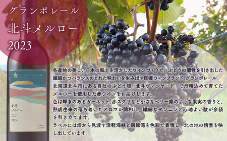 グランポレール　北斗メルロー2023 【 ふるさと納税 人気 おすすめ ランキング ワイン わいん 赤ワイン ライト メルロー サッポロビール 葡萄 ぶどう お酒 ギフト 贈答 贈り物 プレゼント お