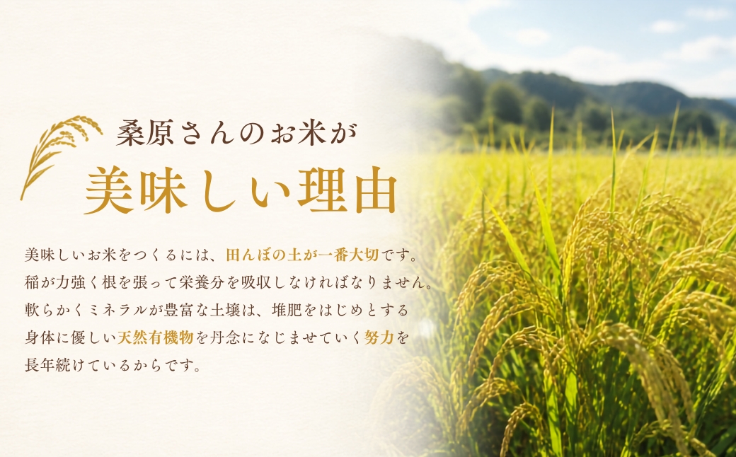 【令和8年産先行予約】【12ヶ月定期便】最高級魚沼産こしひかり【ダイヤモンド褒賞受賞 特別栽培米】 5kg（5kg×1袋）×全12回 129406-010