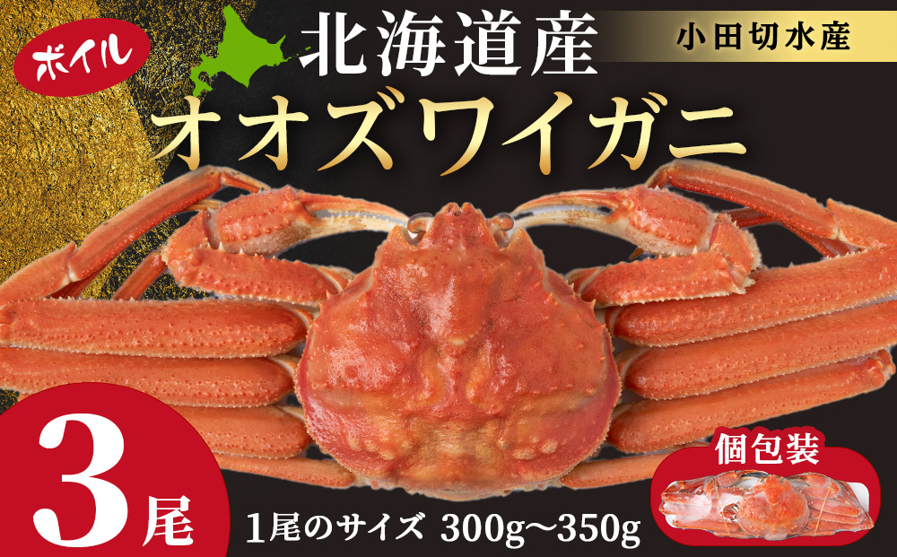 北海道産 大ズワイ 300g～350g ×3尾 ＜斉藤水産＞ オオズワイ 蟹 かに カニ ボイル AM114