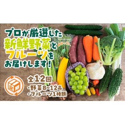 ふるさと納税 山口市 朝採り野菜とフルーツの定期便(12回)　A132