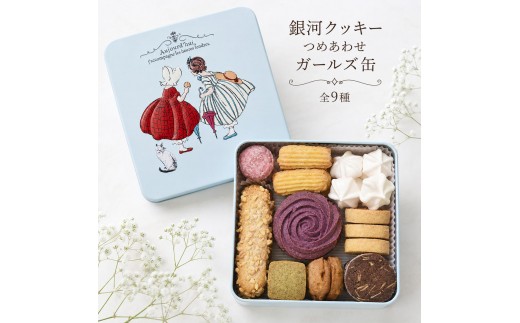 
                  クッキー缶 無添加 スイーツ クッキー 缶 ガールズ缶 9種の焼き菓子詰合せ 詰め合わせ 銀河工場 焼き菓子 国産 バター お菓子 手土産 おしゃれ 可愛い ご褒美 贈り物 奈良県 大和郡山市 [№5990-0927]
                