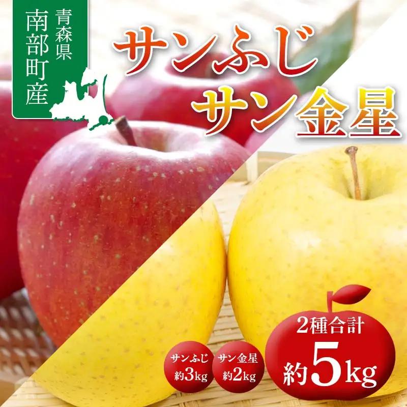 青森県 南部町産 りんご サンふじ＆サン金星 約5kg 【盛果園】 2種セット F21U-367