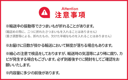 【2024年9月以降発送】千葉県富里市産　シルクスイート　5kg　サイズ混載　土付き TMH002 / さつまいも サツマイモ  シルクスイート  しるくすいーと おさつ 甘藷 唐いも あまい 甘い 